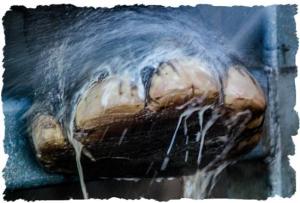 elephant-bath-1-999-framed