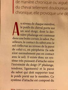 cheval santé