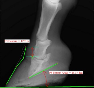 fig1_thumb
