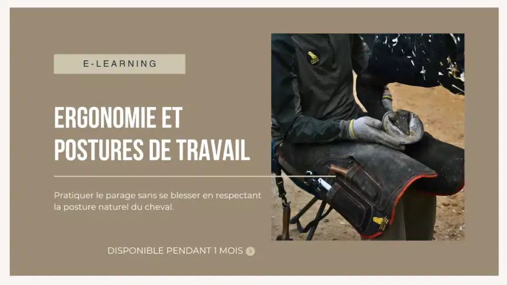 Formation en ligne sur l'ergonomie et la posture de travail du pareur
