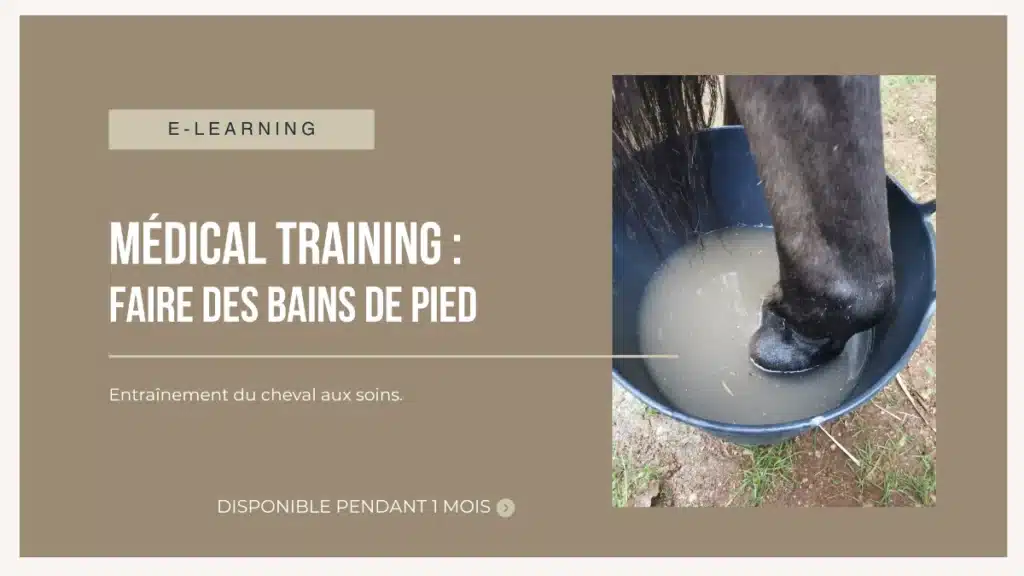Formation en ligne de medical training adapté aux soins des pieds