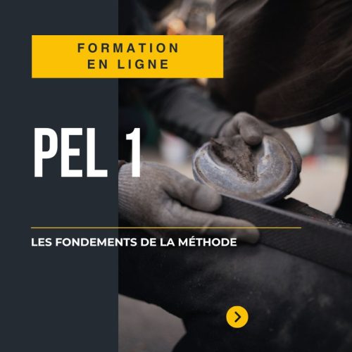Formation PEL 1 — Janvier 2026