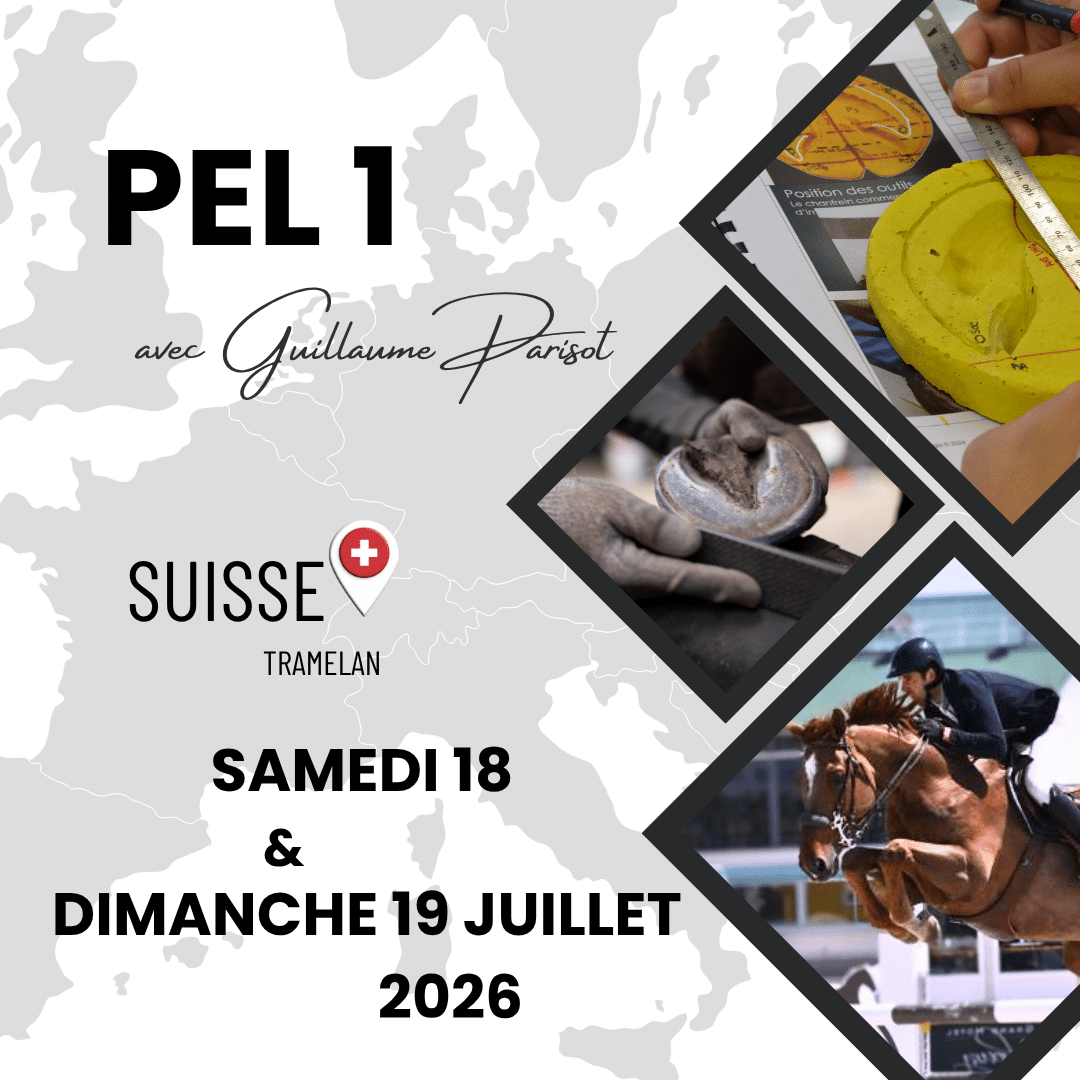 Stage PEL Niveau 1 - Suisse