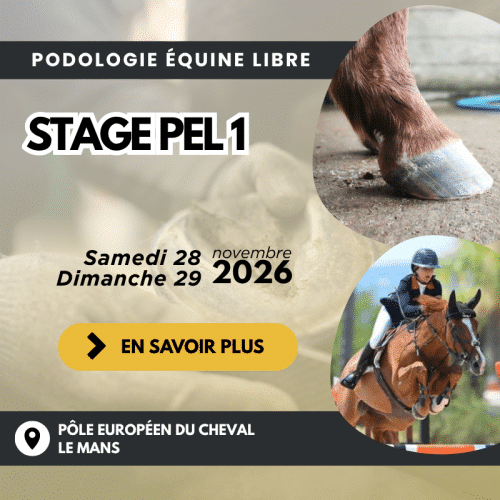 Stage PEL 1 - Le Mans (72)