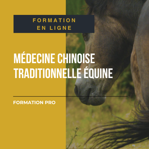 Formation Pro MTP