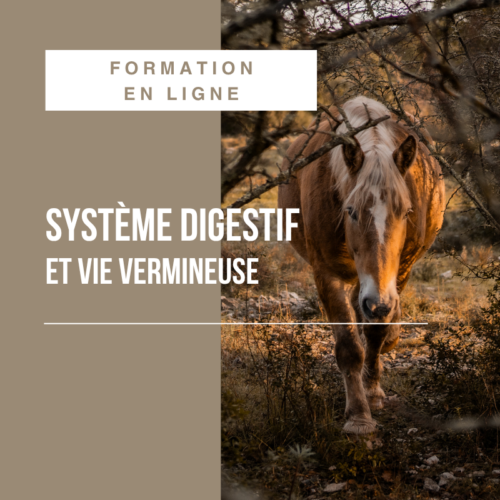 MODULE RAPIDE : Système digestif et vie vermineuse