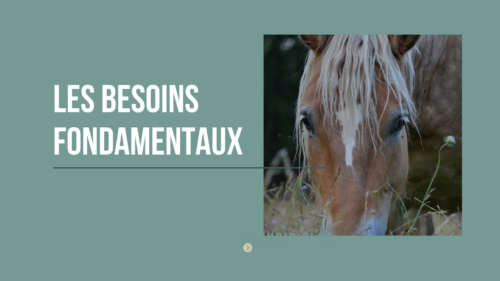 MODULE Les besoins fondamentaux